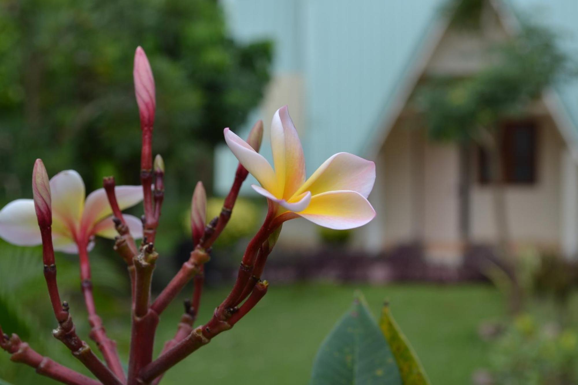 Touch Star Resort - Doi Inthanon Чомтонг Екстер'єр фото