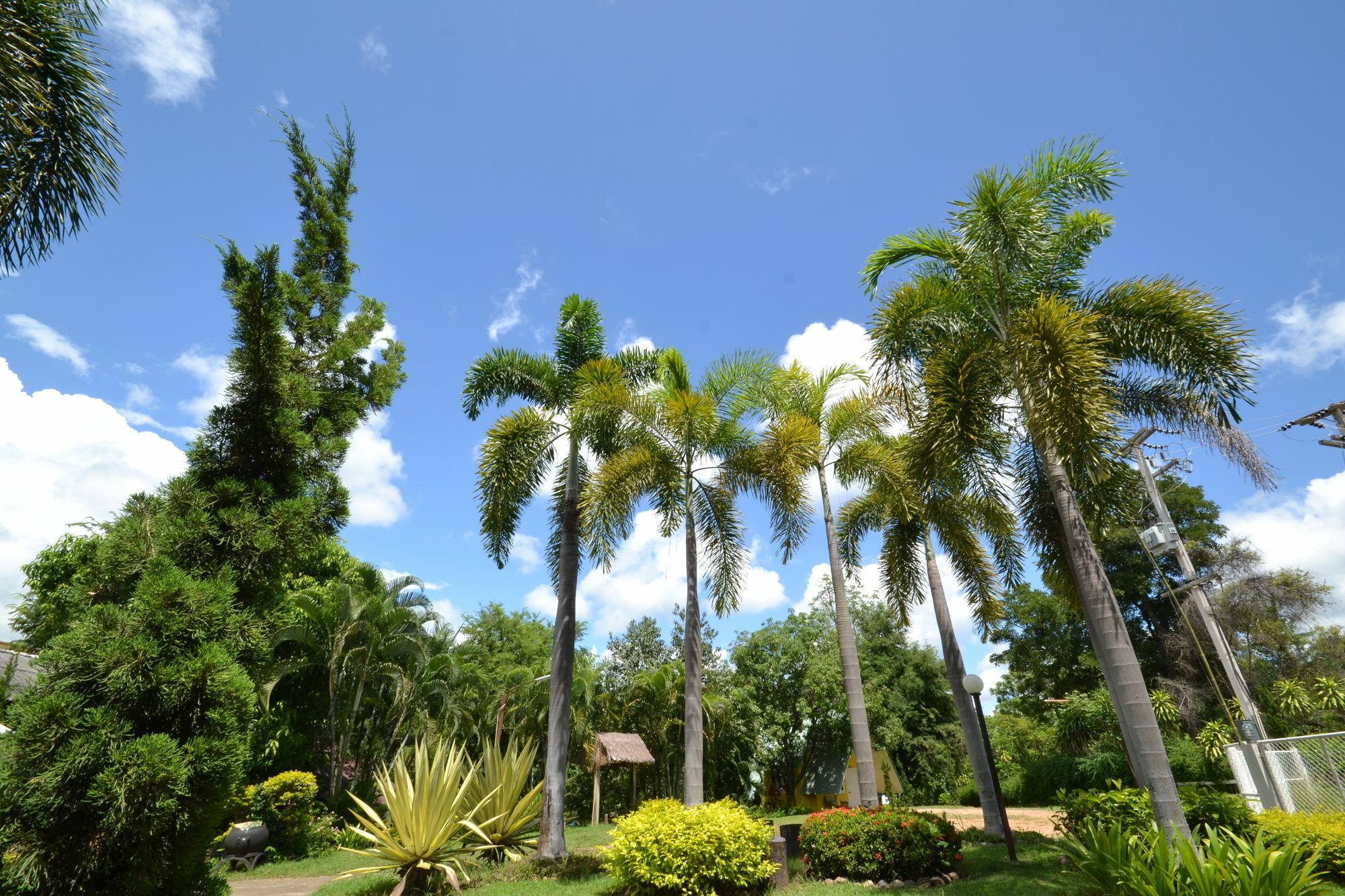 Touch Star Resort - Doi Inthanon Чомтонг Екстер'єр фото